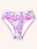 Flamingo Printed Swimsuit Set