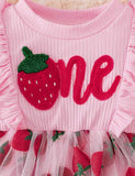 Strawberry Embroidered Tulle Cute Overall