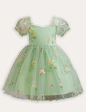 Bubble Sleeve Flower Embroidery Tulle Party Dress