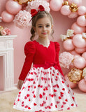Valentine's Day Love Tulle Princess Dress