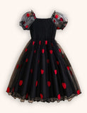 Valentine's Day Heart Tulle Party Dress