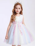 Sleeveless Tulle Party Dress