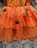 Halloween Spider Printed Mesh Dress - Mini Berni
